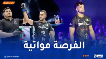 مواجهة قوية.. غموري يتنافس مع هنيان في بطولة الرياضات القتالية 2025